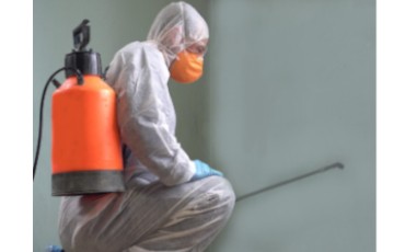 Дезинфекция помещений